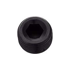 XRP 1/4 Male Pipe Plug, Internal Hex Drive - Allen - 2 Pieces - Black