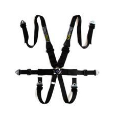 Racetech 6 point Pro Harness, Lightweight, RTPRLWH - HANS only